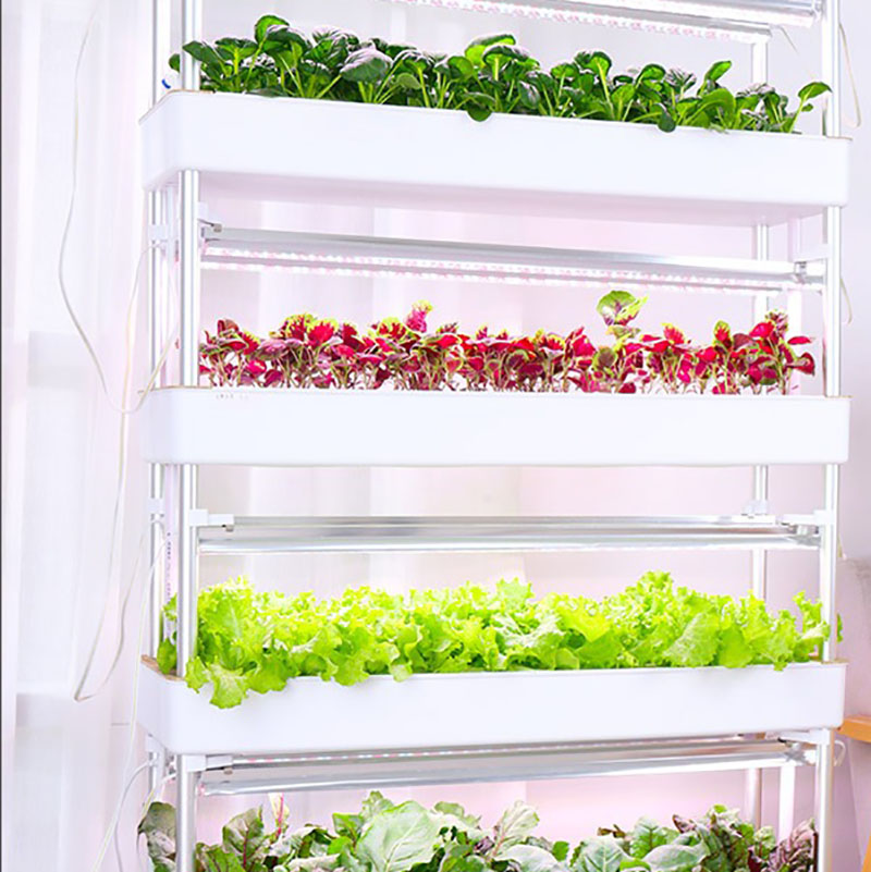 System uprawy hydroponiki Pion – Smart Garden Vertical recenzja i cena