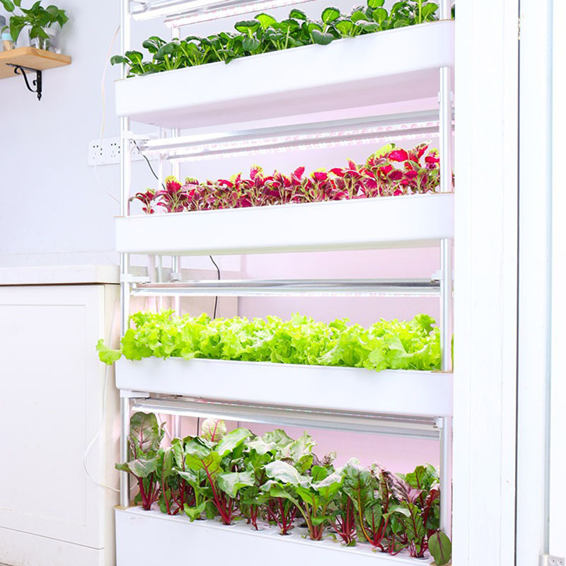 System uprawy hydroponiki Pion – Smart Garden Vertical recenzja i cena