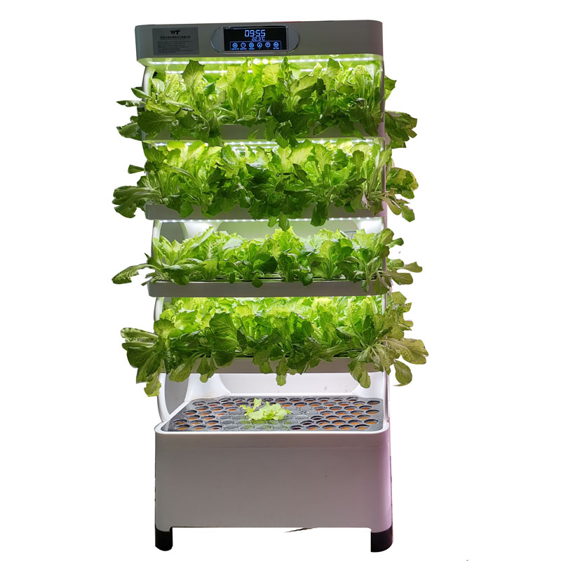Inteligentny, niskobudżetowy,  – Smart Garden Vertical recenzja i cena